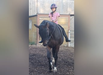 Kinderreitstunde