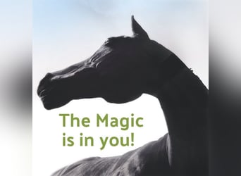 Mobiele paardrijlessen voor gevoelige "probleempaarden"