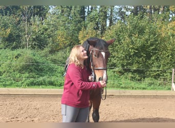 mobiler Reitunterricht Kreis Landsberg