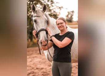 Mobiler Reitunterricht & Sitzschulung