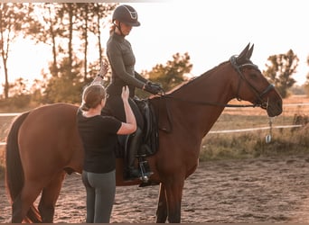 Mobiler Reitunterricht & Sitzschulung