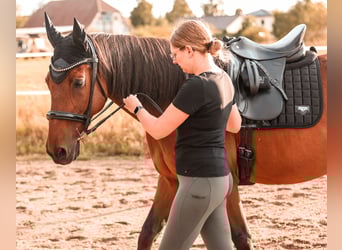 Mobiler Reitunterricht & Sitzschulung
