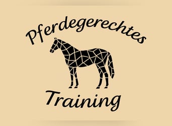 pferdegerechtes Training / Reitunterricht 