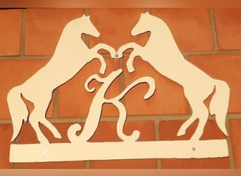 Qualifizierter Reitunterricht