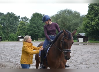 Reiten mit Freude - Individuelles Coaching für Sie und ihr Pferd! Gerne auch bei ihnen vor Ort.