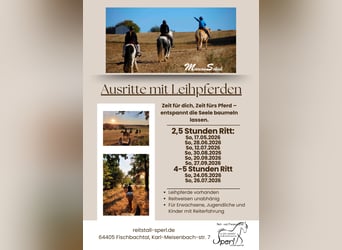 Uitritten & dagritten