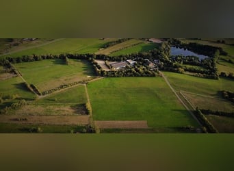 Festanstellung als Pferdewirt(in) (m/w/d) in Voll- oder Teilzeit mit Schwerpunkt Haltung u. Service.