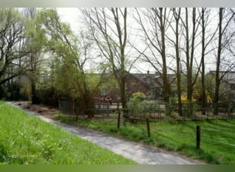 Vacature - Paardenhouder gezocht (bij voorkeur met specialisatie in fokkerij)!