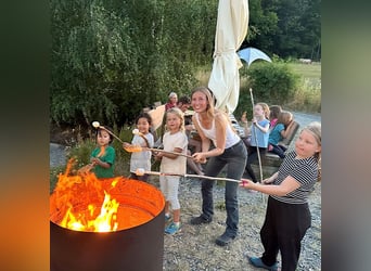 Begin jouw vakantiebaantje bij Fjordgestüt!