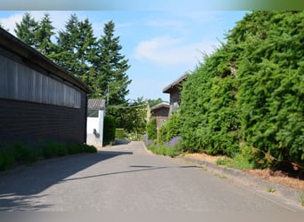 ☆ Bereiter*in in privaten Springstall gesucht ☆