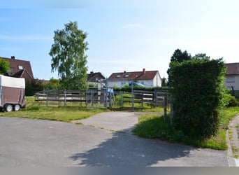 ☆ Bereiter*in in privaten Springstall gesucht ☆