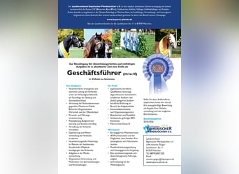 Geschäftsführer (m/w/d)