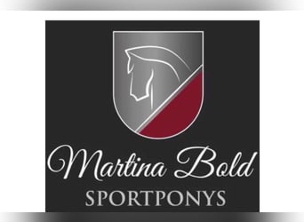 Pfleger/Pferdewirt in Teil-oder Vollzeit gesucht 