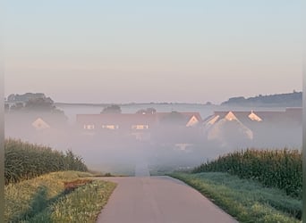 Zoek naar een manager voor de manege bij Hotel Reiterhof Altmühlsee