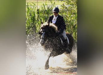 Zoek naar een manager voor de manege bij Hotel Reiterhof Altmühlsee