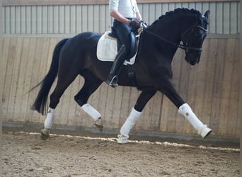 Op zoek naar een instructeur (m/v/x)