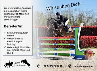 Dressuurinstructeur / instructrice