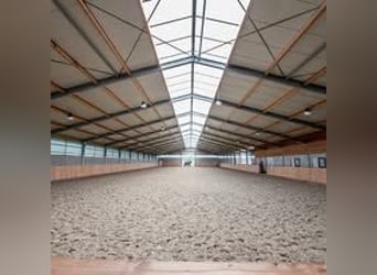 Job Opportunity – Dressage Rider