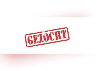 SPOED: ZELFSTANDIGE RUITER