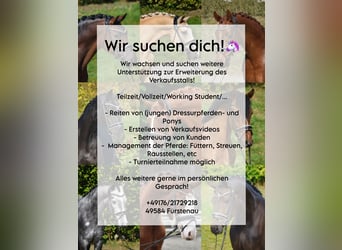 Zoekt u een instructeur/paardenverzorger (m/v/x)! Parttime, fulltime, stage…