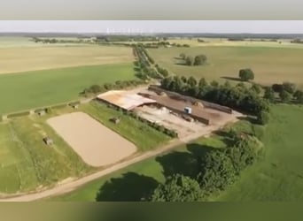 15 ha paardenhouderij nabij de Oostzee – afgeronde percelen