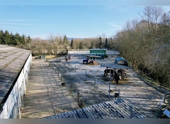 Aantrekkelijk rijterrein tussen Montabaur en Limburg