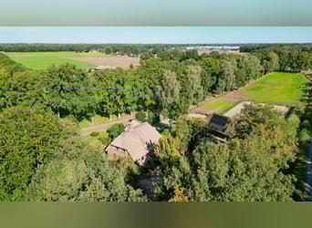 Amazing location for horselovers