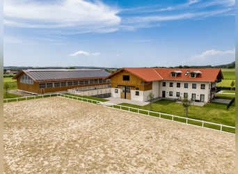 Bijzondere nieuwbouw manege nabij Kempten in het Allgäu