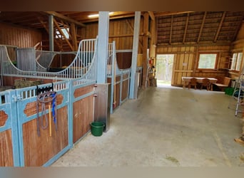 Boerderij kopen in het Allgäu, absolute afgelegen locatie met ongeveer 11 hectare weilanden voor men