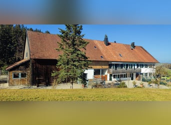 Boerderij kopen in het Allgäu, absolute afgelegen locatie met ongeveer 11 hectare weilanden voor men