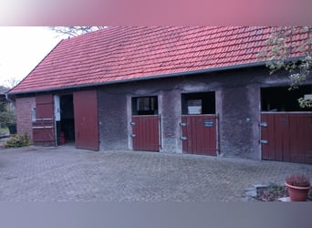 Boerderij met meerdere woonhuizen / multifamiliehuis / complex te koop