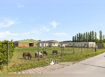Boerderij met paardenfaciliteiten en graslanden op  14.490m² te Antwerpen | België