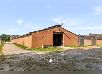 Boerderij met paardenfaciliteiten en graslanden op  14.490m² te Antwerpen | België