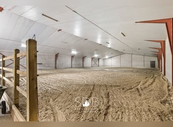 Boerderij met paardenfaciliteiten en graslanden op  14.490m² te Antwerpen | België