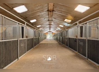 Boerderij met paardenfaciliteiten en graslanden op  14.490m² te Antwerpen | België