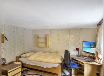 Charmant woonhuis met paardenhouderij en groot perceel in Bad Arolsen-Helsen