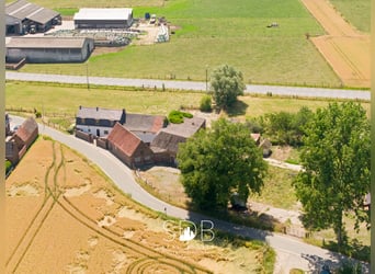 Charmante hoeve met bijgebouwen en graslanden op 27.559m² te Herzele | België