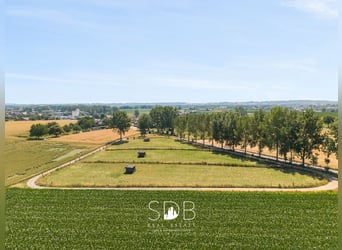 Charmante hoeve met bijgebouwen en graslanden op 27.559m² te Herzele | België