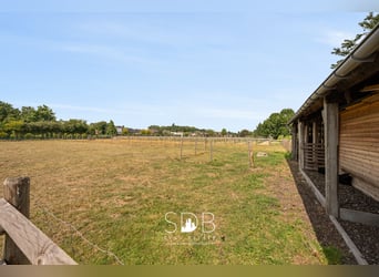 Charmante woning met wijngaard en graslanden op 14.569m² te Wachtebeke | België