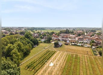 Charmante woning met wijngaard en graslanden op 14.569m² te Wachtebeke | België