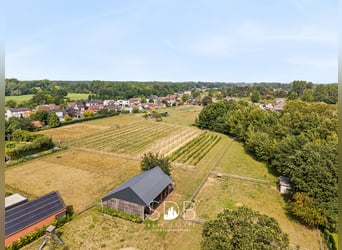 Charmante woning met wijngaard en graslanden op 14.569m² te Wachtebeke | België