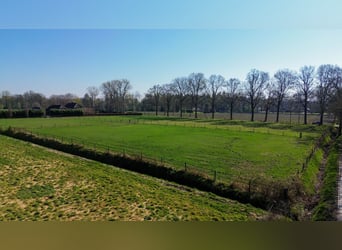 Charming Equestrian Property with Excellent Facilities in a Unique Setting