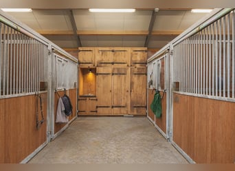 Complete Equestrian Facility with Residence and Extensive Amenities