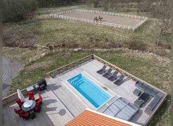 Country Living and Equestrian Lifestyle in Perfect Harmony – Beautiful Home with Pool, Deck, 3,3 ha