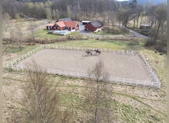 Country Living and Equestrian Lifestyle in Perfect Harmony – Beautiful Home with Pool, Deck, 3,3 ha