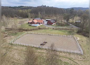 Country Living and Equestrian Lifestyle in Perfect Harmony – Beautiful Home with Pool, Deck, 3,3 ha