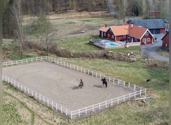 Country Living and Equestrian Lifestyle in Perfect Harmony – Beautiful Home with Pool, Deck, 3,3 ha