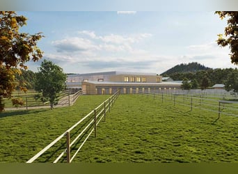 Droomachtig landgoed in Zuid-Kärnten met buitengewoon ontwikkelingspotentieel