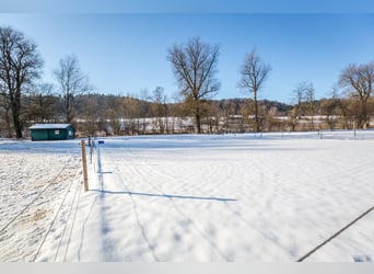 Droomhuis met uitgebreide paardenfaciliteiten in Zeilarn (oostelijk van München), zonder commissie