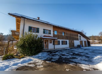 Droomhuis met uitgebreide paardenfaciliteiten in Zeilarn (oostelijk van München), zonder commissie